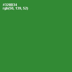 #328B34 - Forest Green Color Image