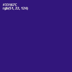 #33167C - Persian Indigo Color Image