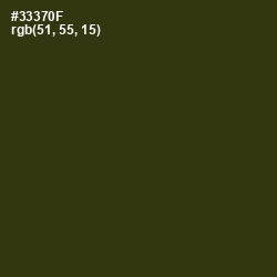 #33370F - Waiouru Color Image