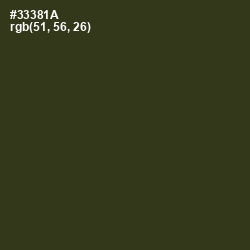 #33381A - Camouflage Color Image
