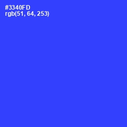 #3340FD - Blue Ribbon Color Image
