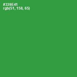 #339E41 - Sea Green Color Image