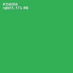#33AD56 - Sea Green Color Image