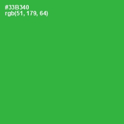 #33B340 - Sea Green Color Image