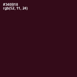 #340B18 - Aubergine Color Image