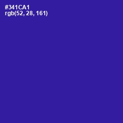 #341CA1 - Blue Gem Color Image