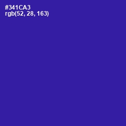 #341CA3 - Blue Gem Color Image