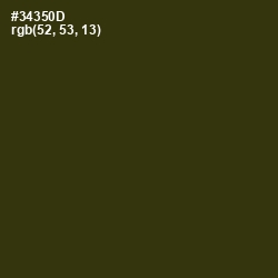 #34350D - Waiouru Color Image