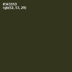 #34351D - Camouflage Color Image