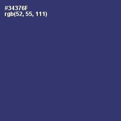 #34376F - Astronaut Color Image
