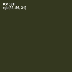 #34381F - Camouflage Color Image