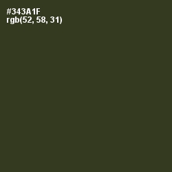 #343A1F - Camouflage Color Image