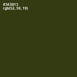 #343B13 - Camouflage Color Image