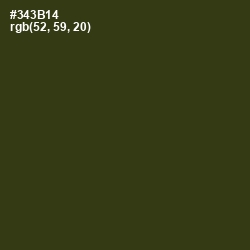 #343B14 - Camouflage Color Image