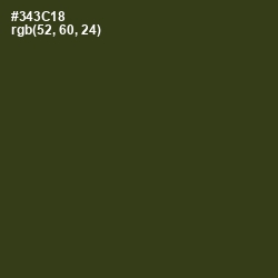 #343C18 - Camouflage Color Image
