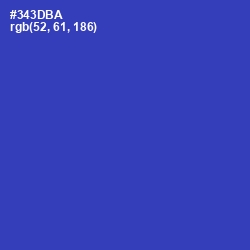 #343DBA - Governor Bay Color Image