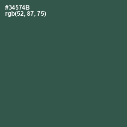 #34574B - Stromboli Color Image