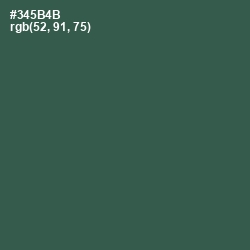 #345B4B - Stromboli Color Image