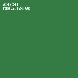 #347C44 - Goblin Color Image