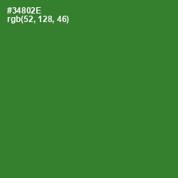 #34802E - Forest Green Color Image