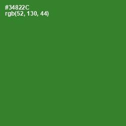 #34822C - Forest Green Color Image