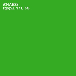 #34AB22 - Forest Green Color Image