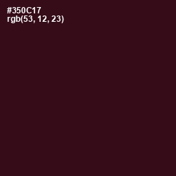#350C17 - Aubergine Color Image