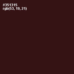 #351315 - Tamarind Color Image