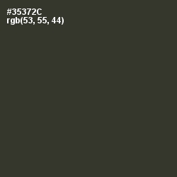#35372C - Birch Color Image