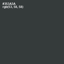 #353A3A - Tuatara Color Image