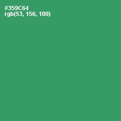 #359C64 - Sea Green Color Image