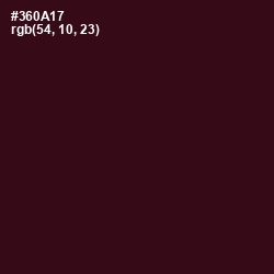 #360A17 - Aubergine Color Image