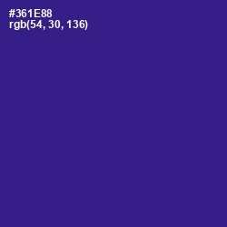 #361E88 - Blue Gem Color Image