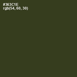 #363C1E - Camouflage Color Image