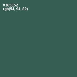 #365E52 - Stromboli Color Image