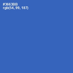 #3663BB - Astral Color Image