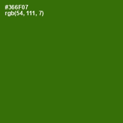 #366F07 - Dell Color Image