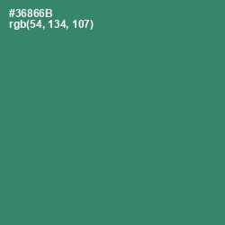 #36866B - Sea Green Color Image