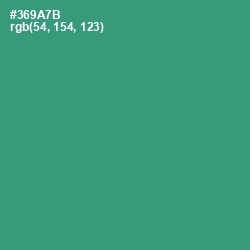 #369A7B - Eucalyptus Color Image
