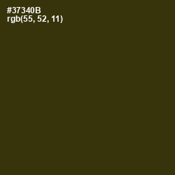 #37340B - Waiouru Color Image