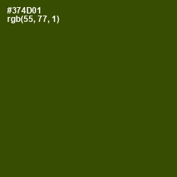 #374D01 - Clover Color Image