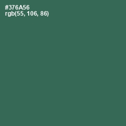#376A56 - Killarney Color Image