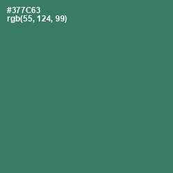 #377C63 - Oracle Color Image