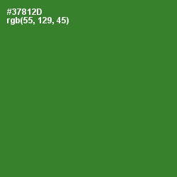 #37812D - Forest Green Color Image