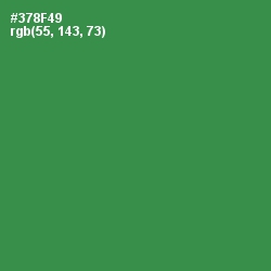 #378F49 - Sea Green Color Image