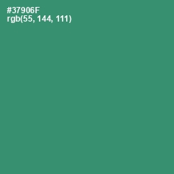 #37906F - Sea Green Color Image