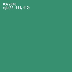 #379070 - Sea Green Color Image