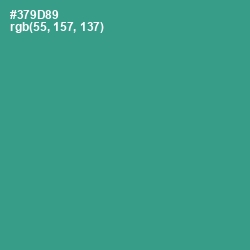 #379D89 - Lochinvar Color Image