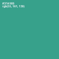 #37A18B - Jungle Green Color Image