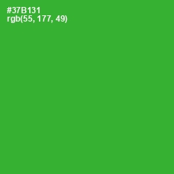 #37B131 - Forest Green Color Image